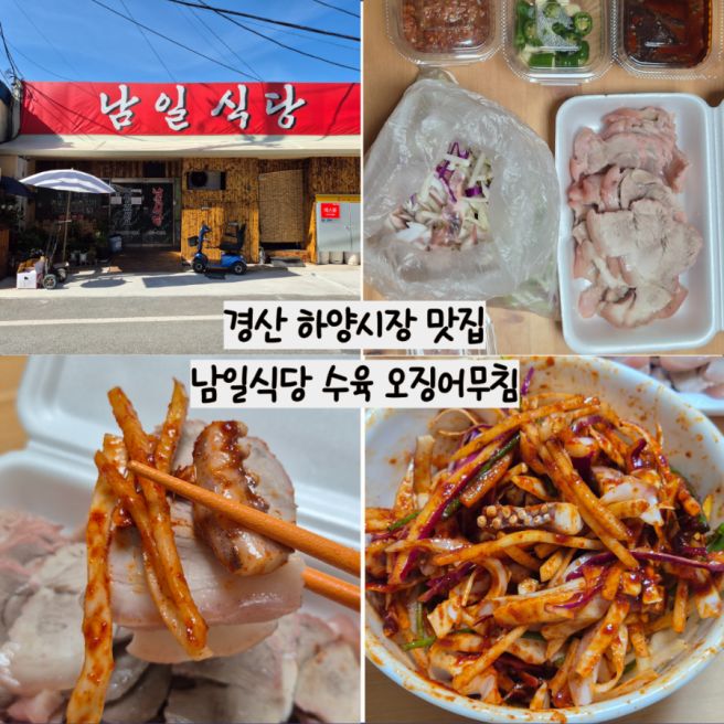 경산 하양시장 맛집 남일식당 수육 오징어무침회 포장 주차 온누리상품권 결제 가능