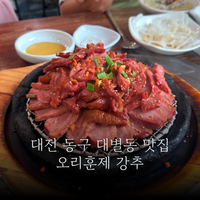 대전 동구 점심맛집 대별동 오리고기 추천 별천지
