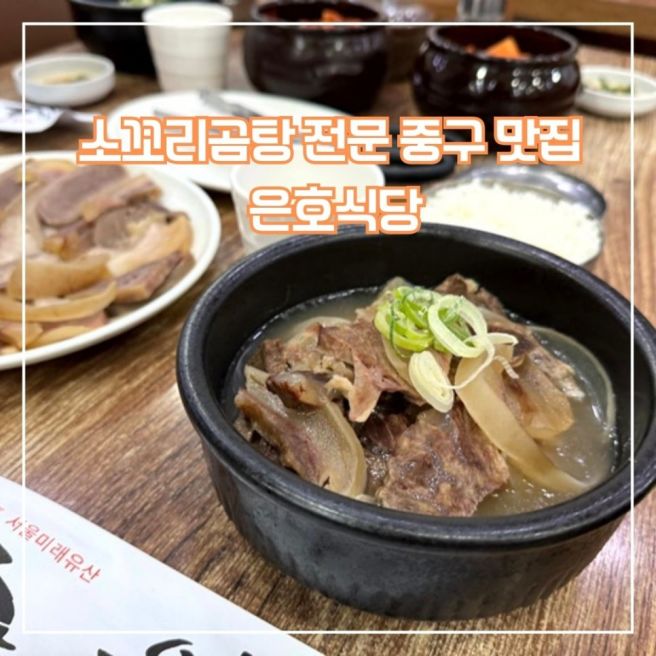 소꼬리 곰탕 전문 중구 맛집 은호식당