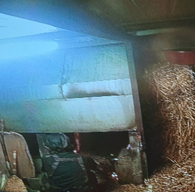 부산 기장 여행 필수 코스 종가집 짚불곰장어 내돈내산