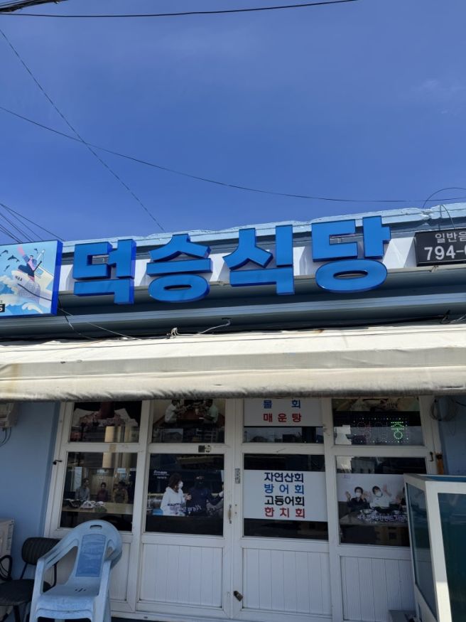 [제주] 제주 덕승식당｜제주 한치물회 맛집, 서귀포 맛집 추천