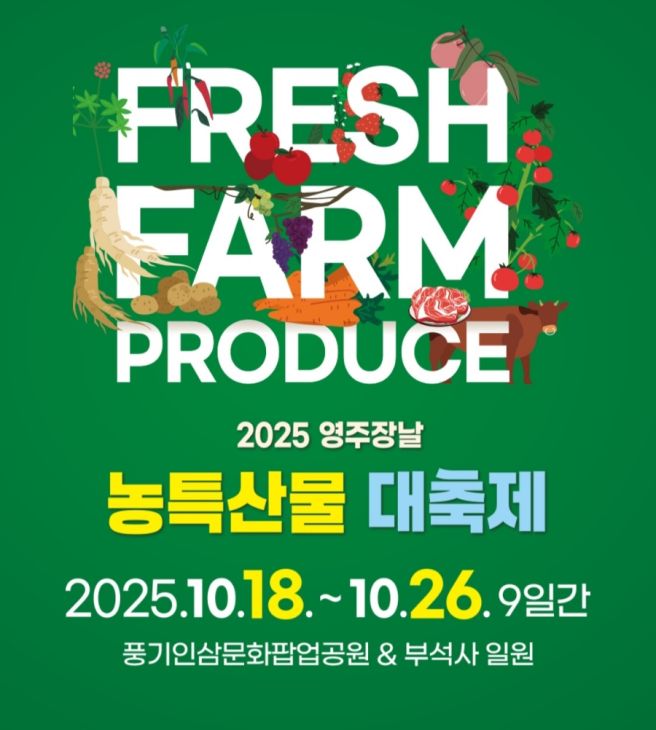 2025 경북영주 풍기인삼축제! 와우! 인삼 &amp; 사과 &amp; 소고기까지 맛볼 수 있네?