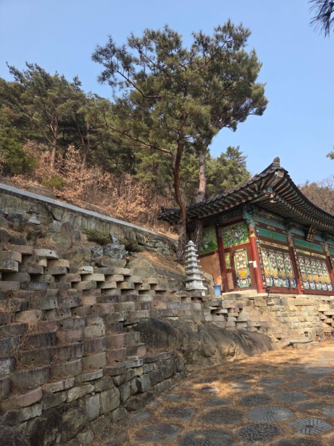 육회비빔밥-성원식육식당