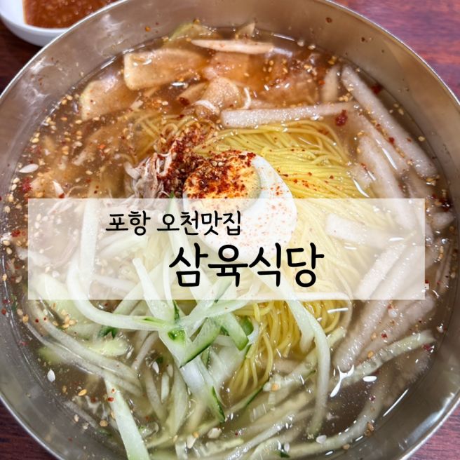 포항 오천맛집 삼육식당｜15년째 찾는 현지인 닭냉국수 맛집