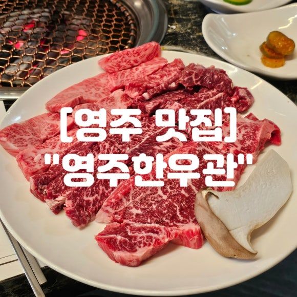 영주 맛집 개별룸 소고기 맛집 "영주한우관"