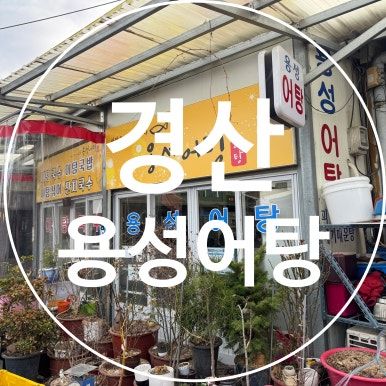 경산 자인시장 맛집 용성어탕 웨이팅해서 먹은 얼큰한 어탕국수!