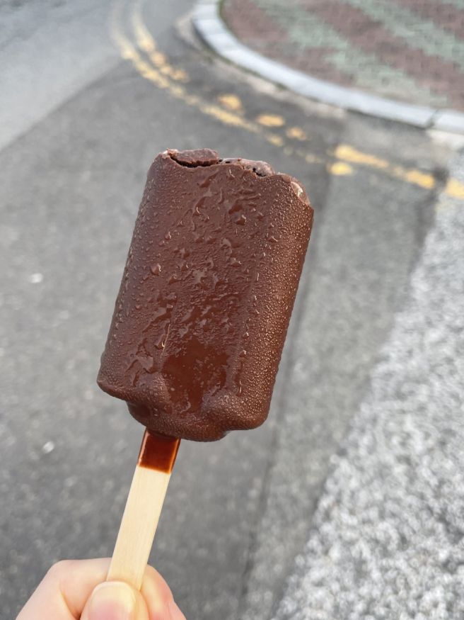 [포항] 돈카츠 먹으러 떠난 포항 뚜벅이 여행 (담박집/영일대 해수욕장/형제통닭/덴마크 초코초코바)