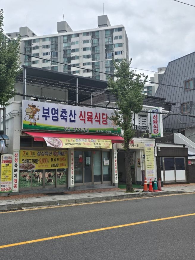 산호동맛집 창원소고기 마산고기집 산호동점심특선 맛집 부영축산식육식당
