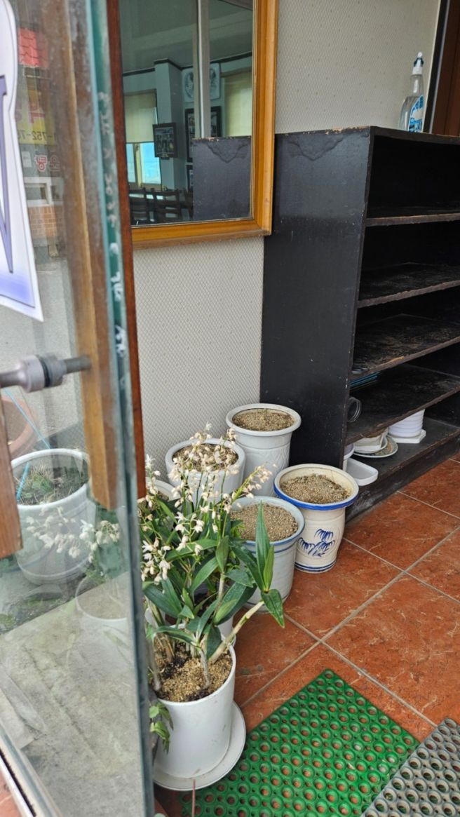 (어죽전문점) 금산 저곡식당 60년전통 원조 어죽
