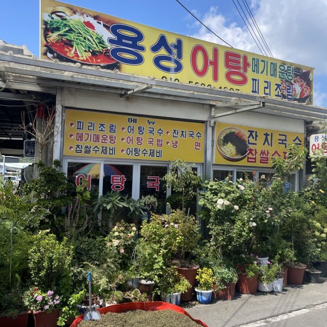 경산 자인시장 맛집 용성어탕 후기