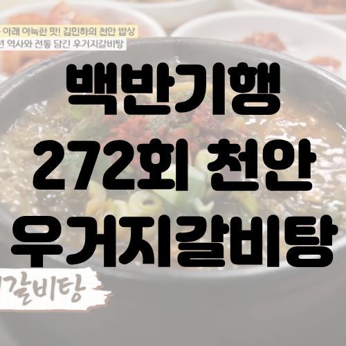 백반기행 천안 우거지갈비탕 김민하 진주회관 매장 위치 지도 영업시간