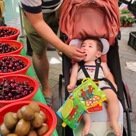 아이랑 여행 중 꼭 들르는 전통시장 괴산 5일장