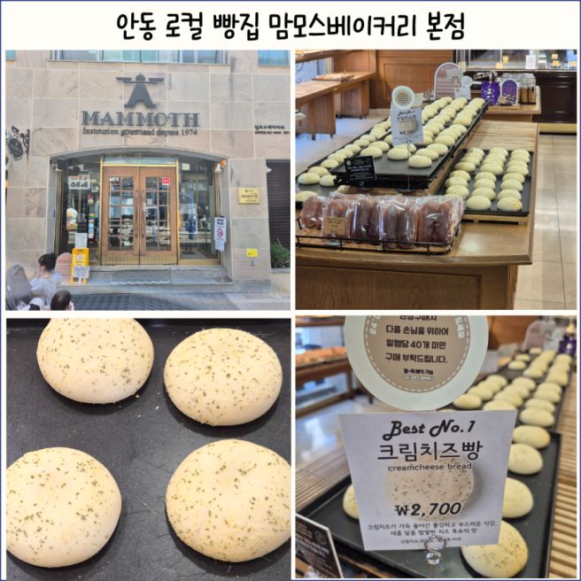 안동 맛집 로컬 빵집 맘모스베이커리 본점 크림치즈빵 빵나오는 시간 카페