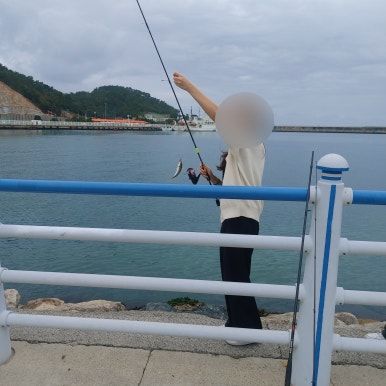 [부산/기장] 대변항 낚시 첫 도전, 용암할매횟집 멸치회, 메르데쿠르 카페 후기