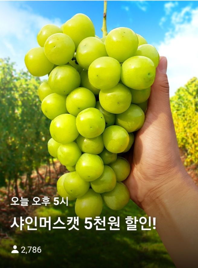 샤인 이미지