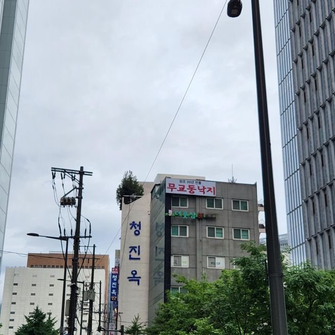 [서울시 종로구] 청진동 광화문역 종각역 90년 전통 양선지해장국 맛집 '청진옥'