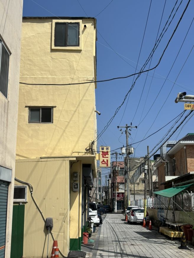 경주 황리단길 맛집 로컬맛집 월성분식 내돈내산 후기