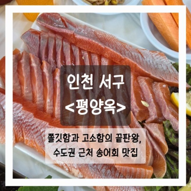 인천 서구 송어회 맛집 / 평양옥