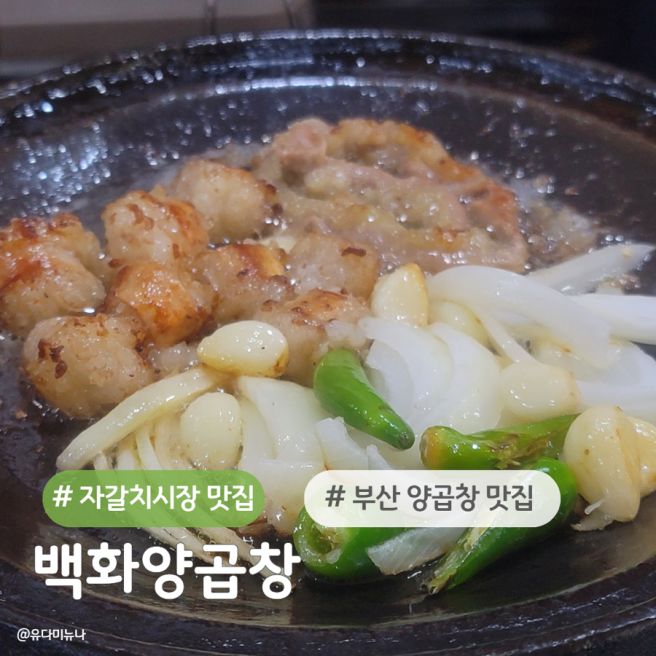 부산 자갈치시장 현지인 양곱창 맛집 백화양곱창