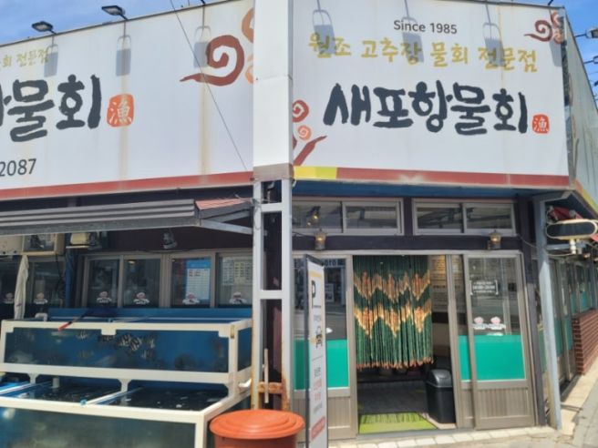 새포항물회 포항물회맛집 포항현지인맛집