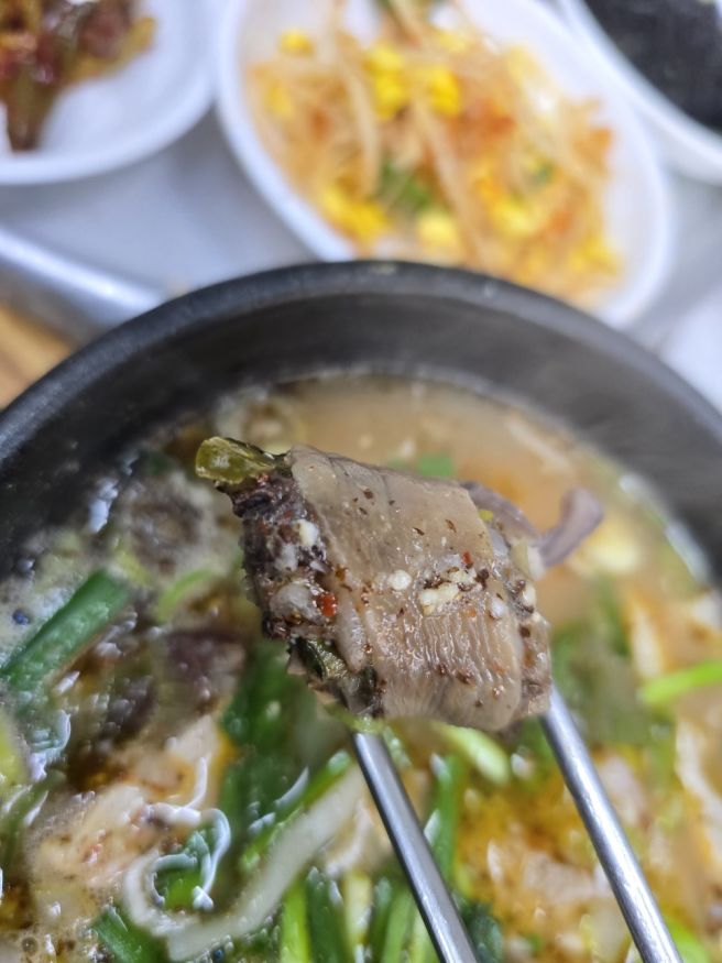 대구 동구 시장 홍어와 국밥 맛집 일경 식당