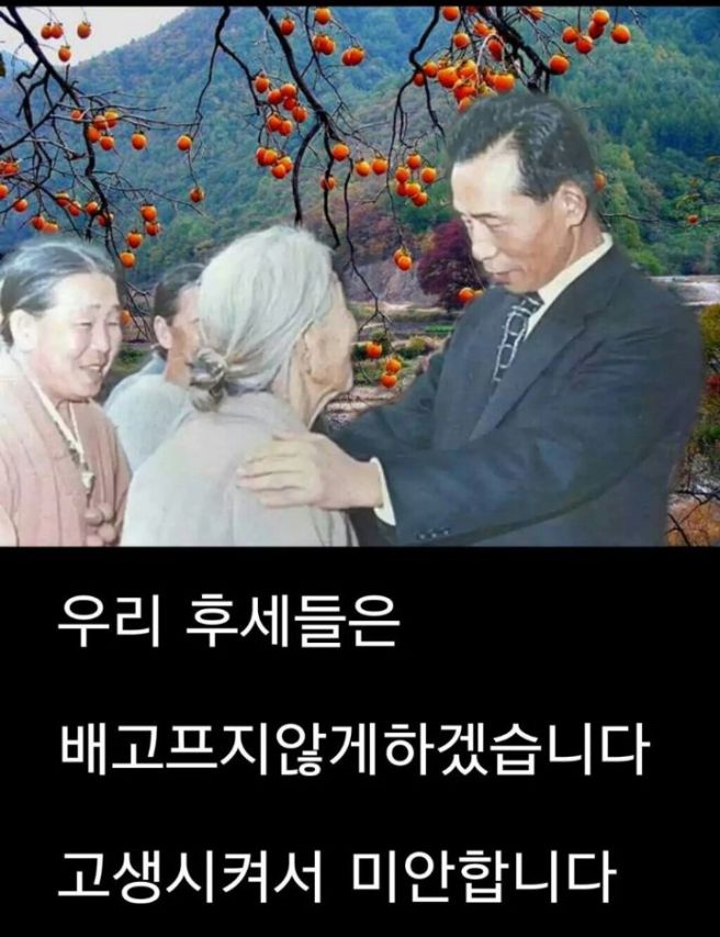 뷰어 이미지