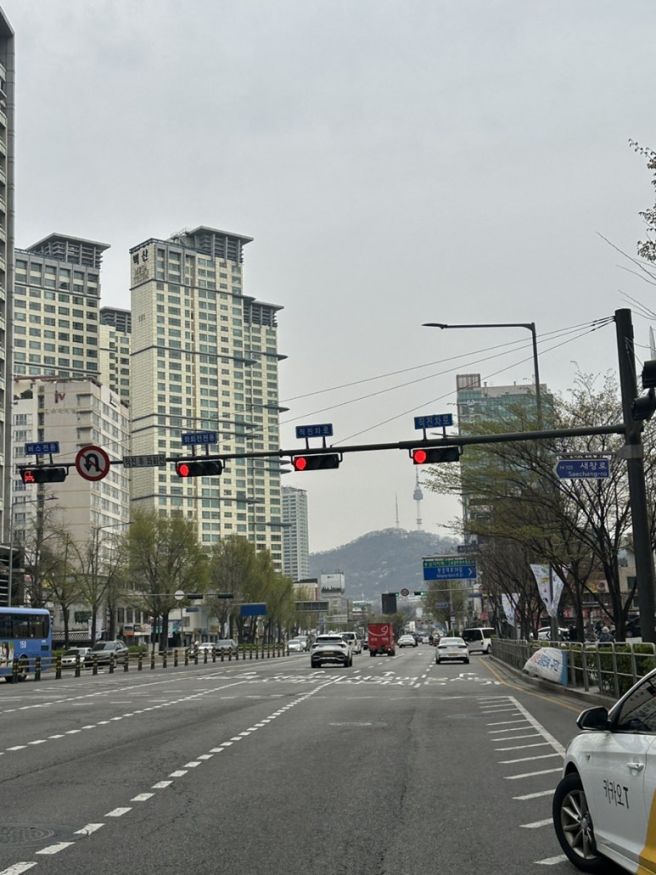 능동미나리, 김용안과자점,이피피룸카페, 용산카페, 루엘드파리, 서초한우카페, 이케아강동점