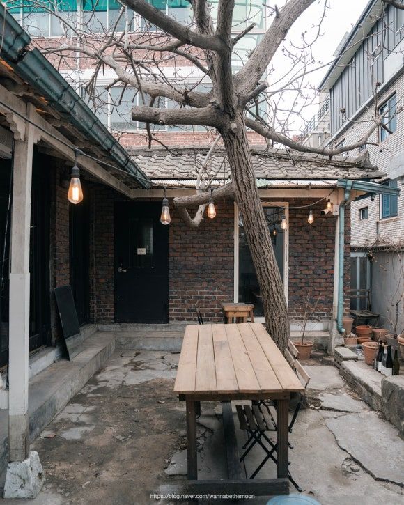 춘천카페 포지티브즈, 고양이와 함께한 오후