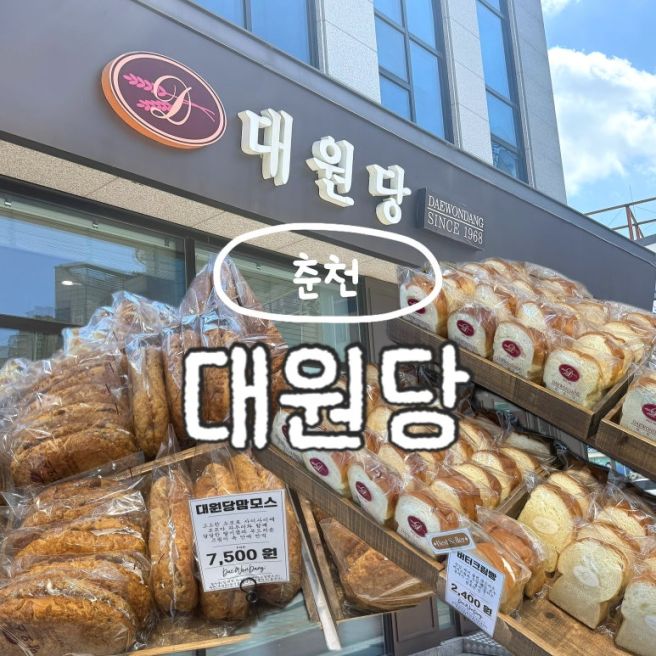 춘천 빵집 대원당 빵지순례 여행 필수 코스 맘모스빵 버터크림빵 +주차 메뉴추천 후기