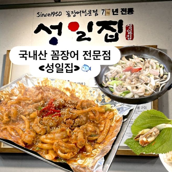[부산 남포동] 1950년부터 이어온 국내산 꼼장어 노포🐟_성일집