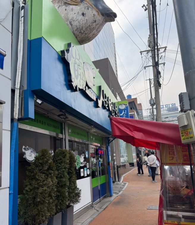 [구미대표 맛집] 드디어 가본 '싱글벙글복어 본점' 방문 (내돈내산)