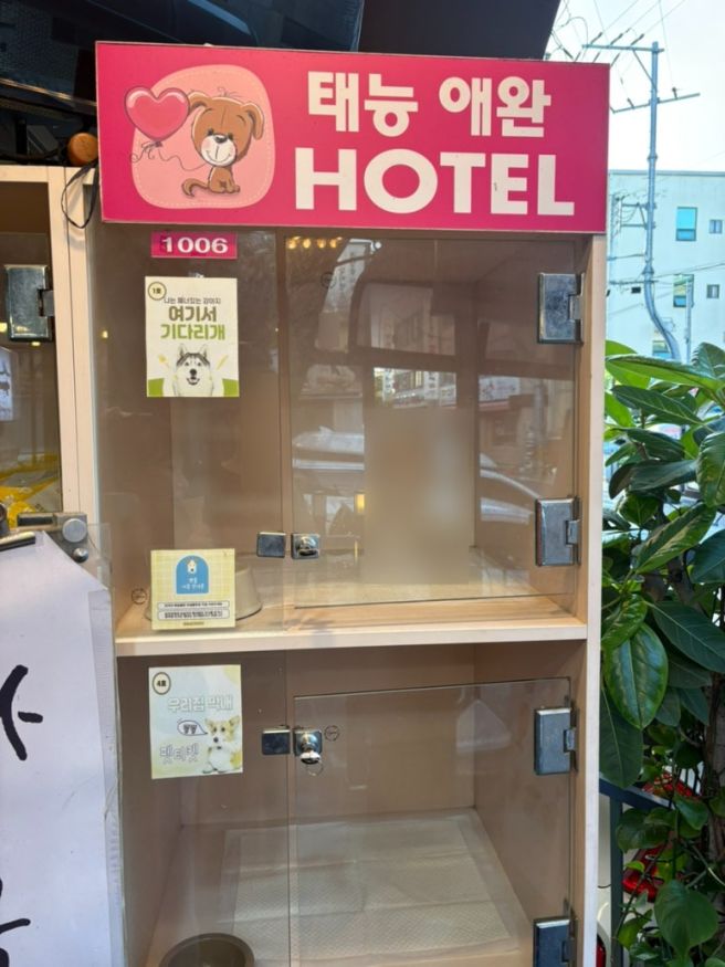 논산 태능초가집갈비 논산갈비집 논산오거리맛집
