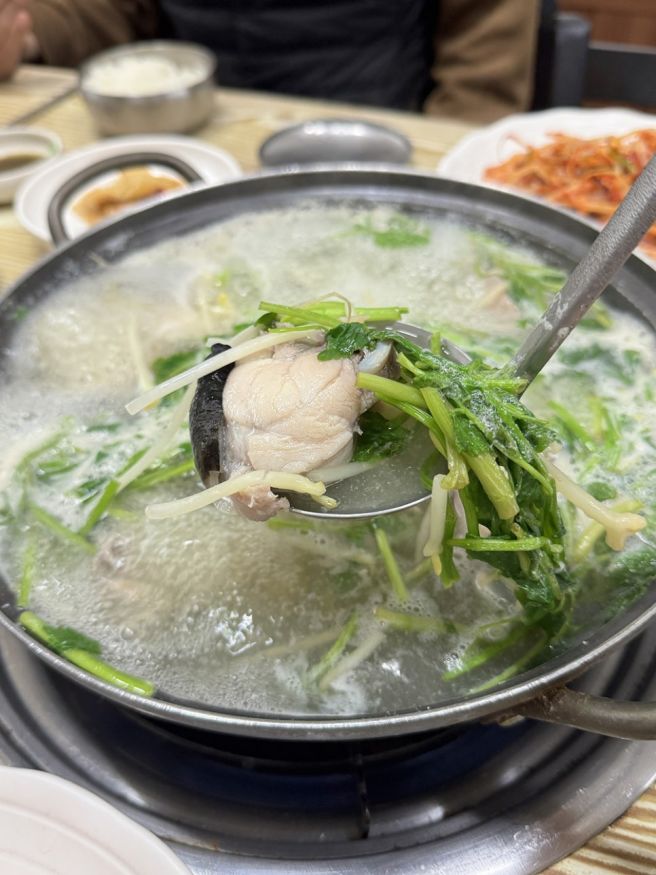 안동 시내 의료원 앞 아침식사되는 맛집 서울복어 추천