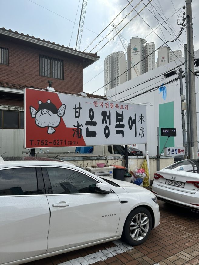 대구맛집. 감포은정복어 🐡 밀복지리탕으로 해장과 몸보신을 한방에, 현지인 추천 음식점.