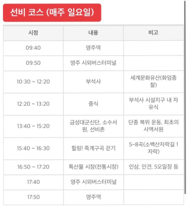 영주 시티투어 ‘선비코스’ 추천 후기 | 영주 방문하면 꼭 해보세요!