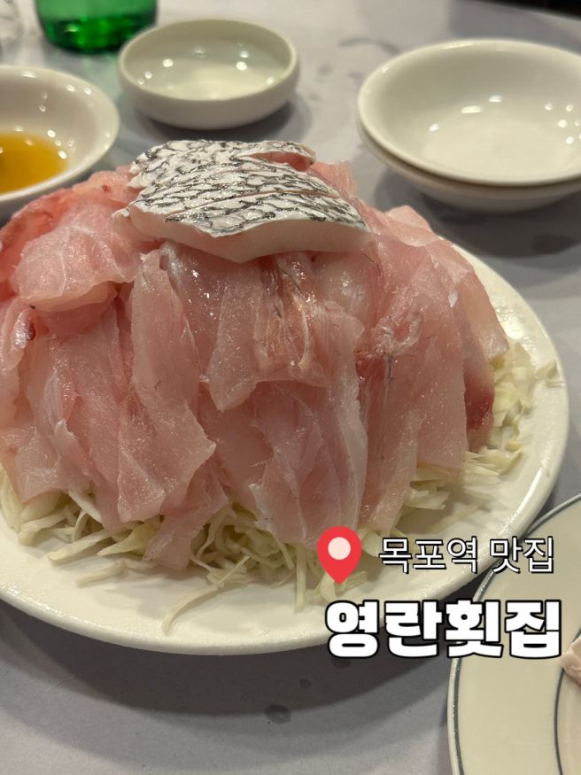 목포 목포역 맛집 | 민어 거리 민어회 맛집 "영란횟집"