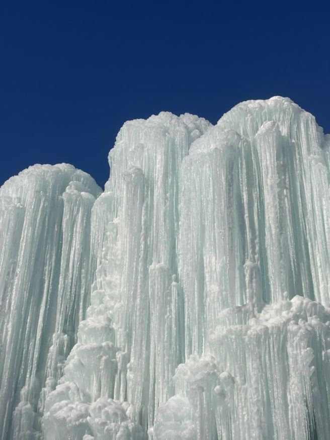 청양 알프스마을 맛집 추천, 은행집