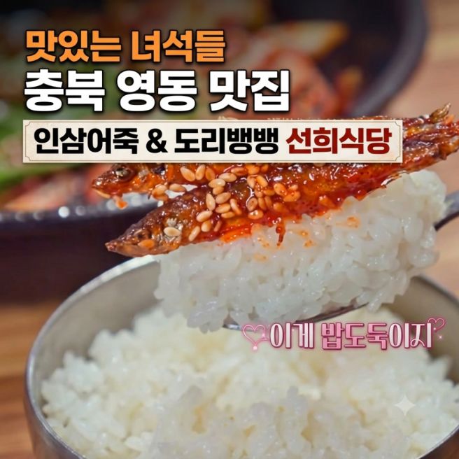맛있는녀석들 영동 어죽 맛집 선희식당 어디? 인삼어죽·도리뱅뱅 메뉴 가격 위치 정리