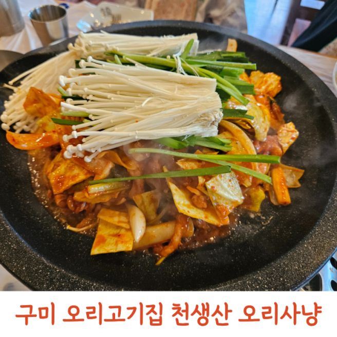 구미백숙 맛집 천생산오리사냥｜구미오리맛집 인동맛집 아이와 생오리불고기 후기