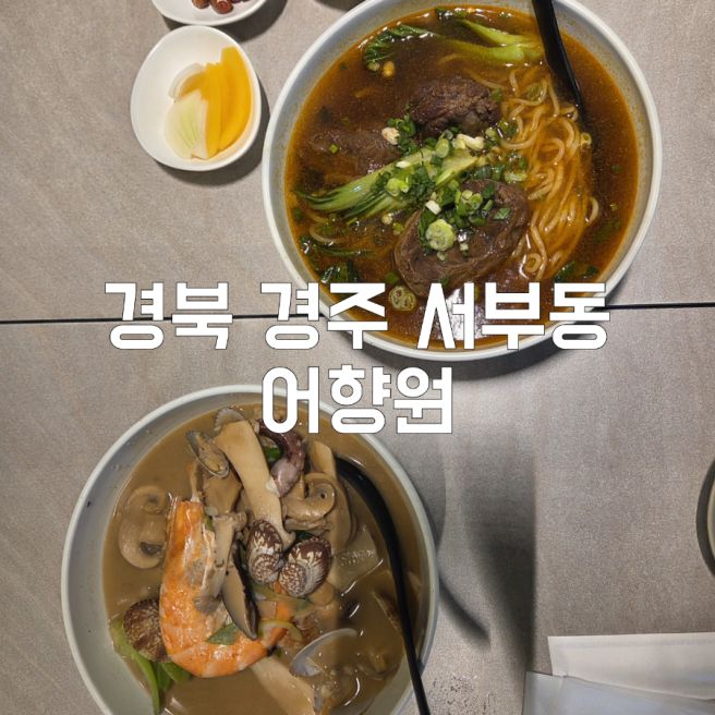 [경북 경주] 우육면, 짬뽕, 가지만두맛집 : 어향원