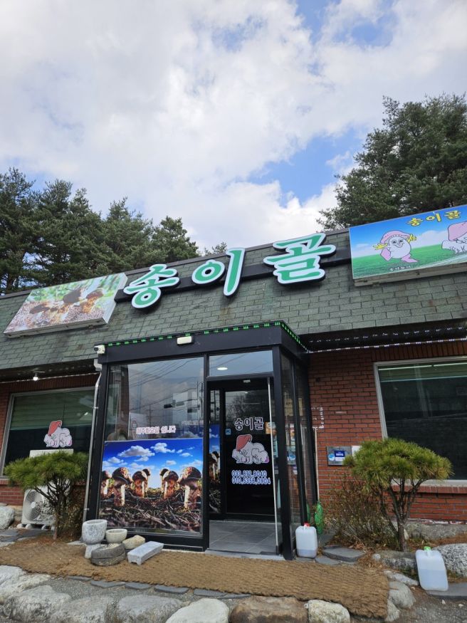 양양 맛집 송이골 후기 부모님과 가기 좋은 식당 (내돈내산)