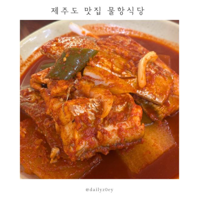 제주도 맛집 물항식당 | 공항 근처 갈치조림 갈치회 맛집
