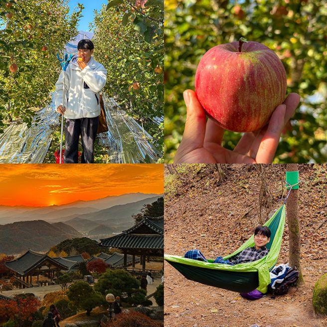 경북 영주 가볼만한곳 8 선비세상 무섬마을 국립산림치유원 숙소 여행