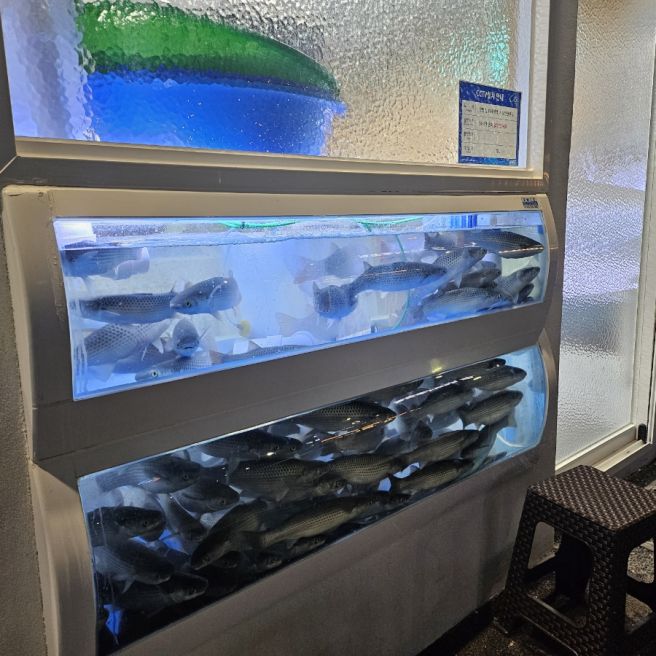 대구 달성군 화원읍 횟집 | 모임 장소로 좋은 룸 횟집 '홍물회'