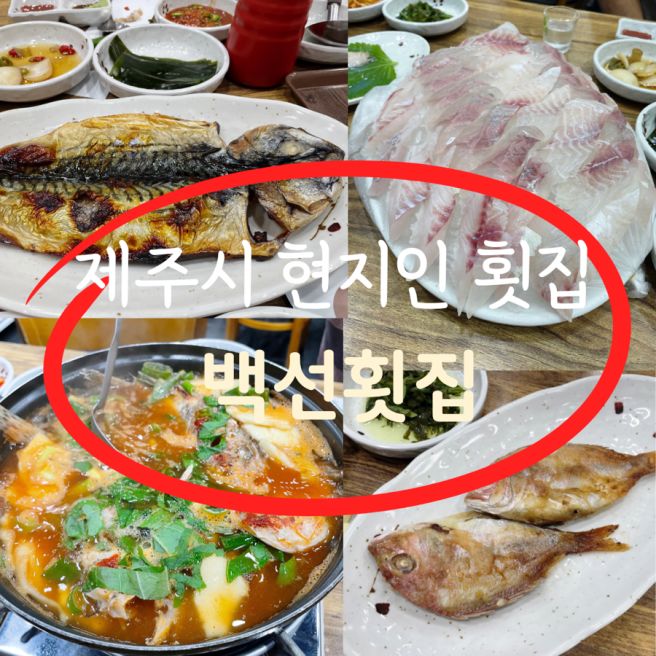 제주시에 위치한 따치회가 제철, 현지인이 사랑하는 백선 횟집