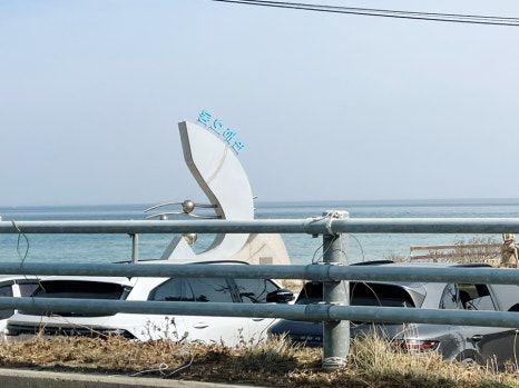 양양 섭국 맛집 섭칼국수, 섭전도 맛있는 동호해수욕장 오산횟집