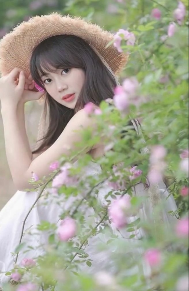 새벽숲 이미지