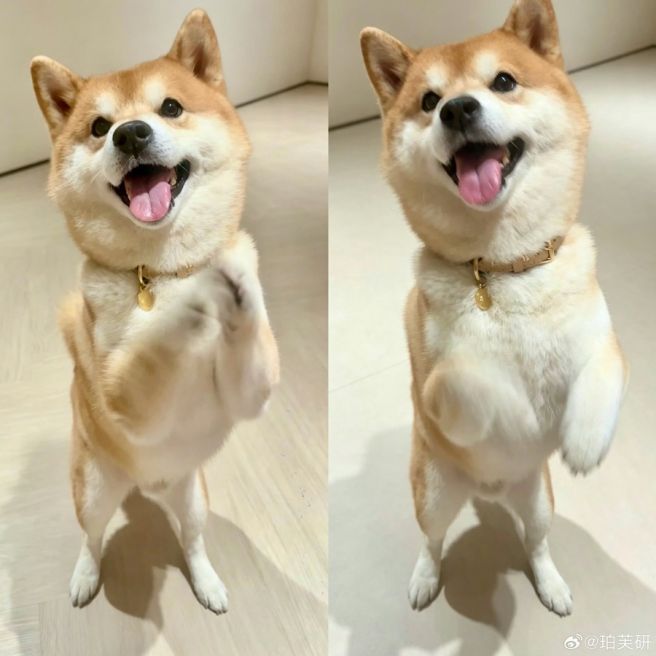 제발지옥같은여기서날꺼내줘