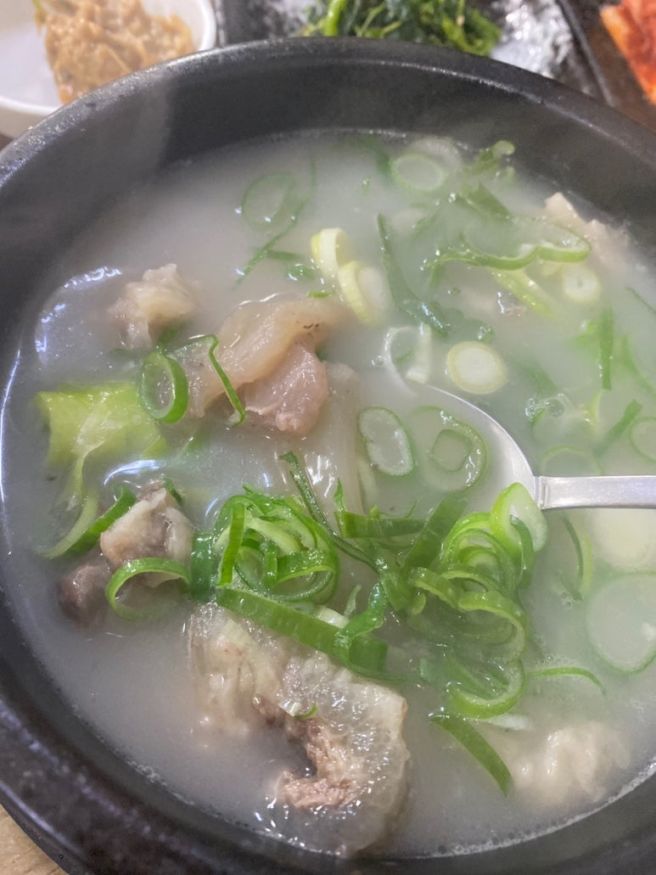 서귀포 도가니탕 맛집 : 벌집식당 35년 전통 현지인 도가니맛집