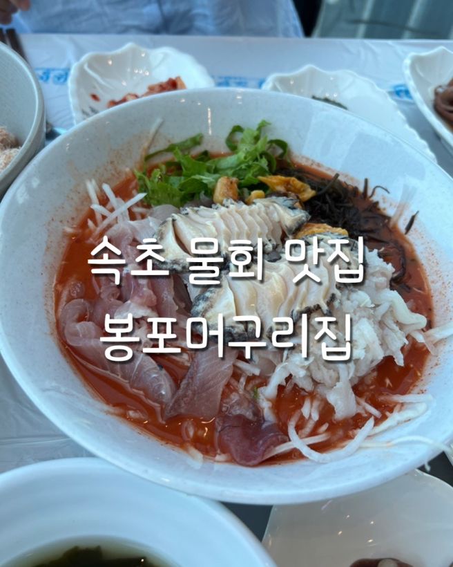 속초 물회맛집 봉포머구리집 솔직후기